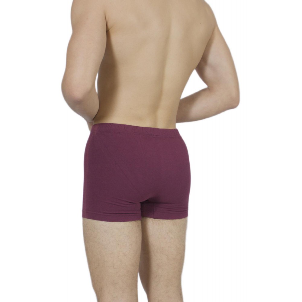 Men's-Boxer-Briefs-Bordeaux-internal-Elastic – Handicraft-wholesale- Tzitzi Underwear