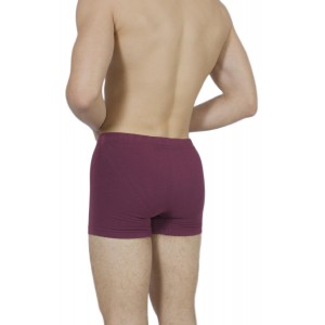 Men's-Boxer-Briefs-Bordeaux-internal-Elastic – Handicraft-wholesale- Tzitzi Underwear
