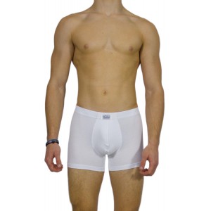 Men's Boxer Briefs White with internal Elastic – Handicraft-wholesale- Tzitzi Underwear