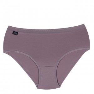 Women's Cotton Midi 3/4 Briefs Mocha Wide Elastic - Lingerie Manufacturer - Wholesale - Tzitzi Underwear